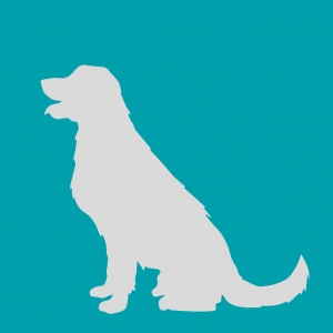 Dierenkliniek de Hitsert Hoeksche Waard logo button Hond